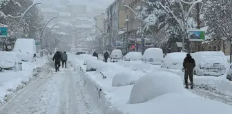 Orta ve Doğu Karadeniz'de 998 yerleşim yerine ulaşım sağlanamıyor