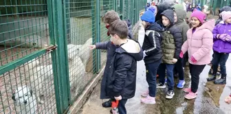 Öğrenciler Sokak Hayvanları için İyilik Projesi Gerçekleştirdi