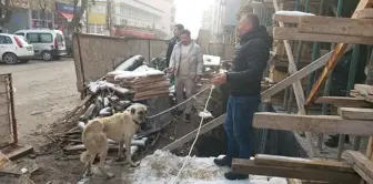 Gümüşhacıköy'de İnşaata Düşen Köpek Kurtarıldı