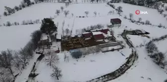 Erzincan'da Erken Yağan Kar, Besicileri Sürüleriyle Geri Dönmeye Zorladı