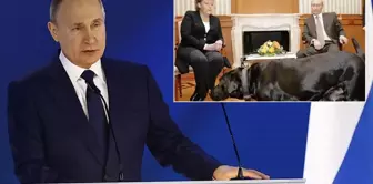 Putin'den Merkel'e 17 yıl sonra 'köpek özrü' geldi