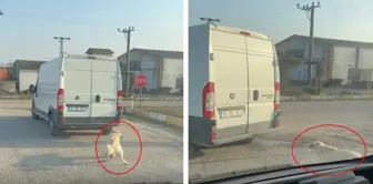 Köpeği minibüsün arkasına iple bağlayıp çekti