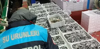 Kırklareli'nde Hamsi Avına Kota Denetimi