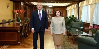 Mevlüt Çavuşoğlu, Azerbaycan Milli Meclis Başkanı ile Görüştü