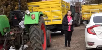 Kadın Muhtar Şenay Çelik, Doğankent’i Güzelleştiriyor