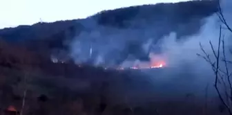 Bolu Mudurnu'da Çıkan Örtü Yangını Paniğe Neden Oldu