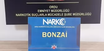 Ordu'da Uyuşturucu Operasyonu: 1 Kişi Tutuklandı