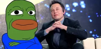 PEPE coin Musk rüzgarıyla hareketlendi! Yükseliş geçici mi kalıcı mı?