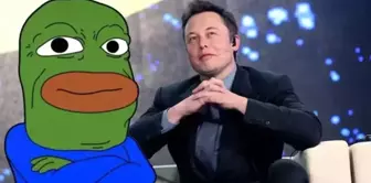 PEPE coin Musk rüzgarıyla hareketlendi! Yükseliş geçici mi kalıcı mı?