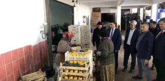 Bilecik'te Tarım Ürünleri Soğuk Hava Depolarında Paketleniyor