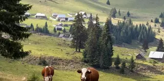 Bakanlık İmar Hakkı Aktarımı ile ilgili yeni düzenlemenin detaylarını duyurdu