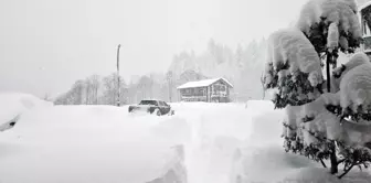 Kar Yağışı Doğu Karadeniz'de Yaşamı Olumsuz Etkiliyor