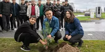 Hyundai Assan, Kocaeli'nde 10 Bin Fidan Dikti