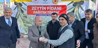 Adıyaman'da 62 Bin Zeytin Fidanı Dağıtıldı