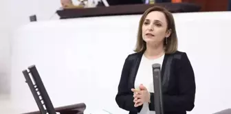 DEM Partili Doğan MHP'li Celal Adan'dan izin alarak TBMM'yi Kürtçe selamladı