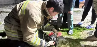 Antakya'da Sondaj Kuyuuna Düşen Yavru Köpek Kurtarıldı