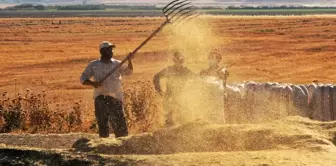 Tarımsal Girdi Fiyat Endeksi Yüzde 32,59 Arttı