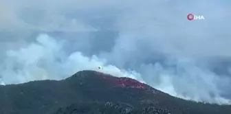 Avustralya'da Orman Yangını: 70 Bin Hektar Alan Küle Döndü