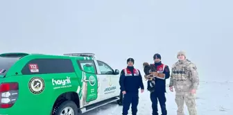 Erzurum'da Bitkin Halde Bulunan Kartal Tedavi Edilip Doğaya Bırakılacak