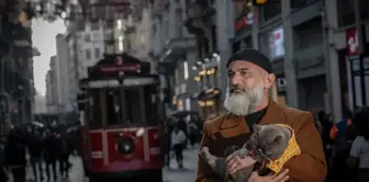 Sahibinin omzunda taşıyarak gezdirdiği kedi adeta İstanbul'un seyyahı oldu