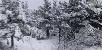 Çanakkale'de Kar Yağışı Hayatı Olumsuz Etkilemedi