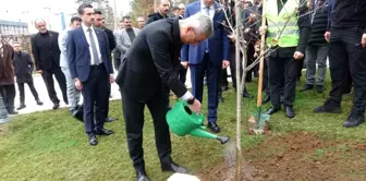 Sağlık Bakanı Memişoğlu'ndan Bilecik'te Çınar Fidanı Dikimi