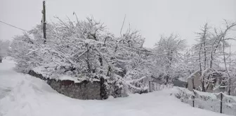 Elazığ ve Bingöl'de Kar Yağışı Ulaşımı Olumsuz Etkiledi