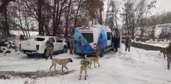 Aşkale'de Kaybolan Öğretmeni Bulmak İçin Seferberlik