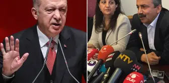 DEM Partili Koçyiğit'den İmralı mesajı: Bu süreç Erdoğan'sız olamaz