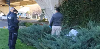 Çalıların arasından gelen kötü kokuyu takip edenler gördükleri karşısında dehşete düştü