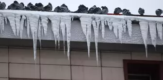 Erzurum'da Çatılardaki Kar ve Buz Tehlikesine Çözüm İsteniyor