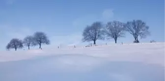 Hakkari okullar tatil mi? YILBAŞI 1 Ocak Çarşamba Hakkari okul yok mu (Son Dakika Hakkari Valiliği)?