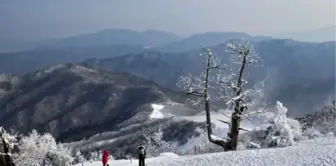 Siirt okullar tatil mi? YILBAŞI 1 Ocak Çarşamba Siirt okul yok mu (Son Dakika Siirt Valiliği)?