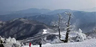 Tunceli okullar tatil mi? YILBAŞI 1 Ocak Çarşamba Tunceli okul yok mu (Son Dakika Tunceli Valiliği)?