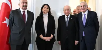 DEM Parti ve Devlet Bahçeli neden görüştü?