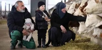 Almanya'dan Elazığ'a Dönüş: 432 Ton Süt Üreten Çiftlik