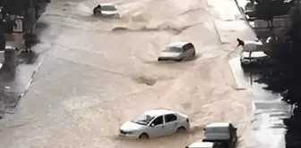 Mekke sular altında! Araçlar ve çöp konteynerleri oyuncak gibi sürüklendi