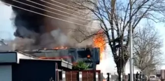 Düzce'de Tavuk Çiftliğinde Yangın Çıktı