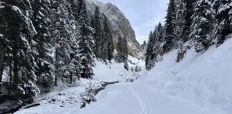 Kış Rüzgarları Ilgaz Dağı'nda Esti: Doğa ve Fotoğraf Tutkunlarının Gözdesi