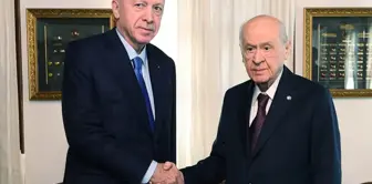 Erdoğan-Bahçeli zirvesinde 'Terörsüz Türkiye' hedefi masaya yatırıldı