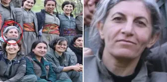 The MIT neutralized Shiraz Ömer, one of the so-called leaders of the PKK/YPG in Syria.