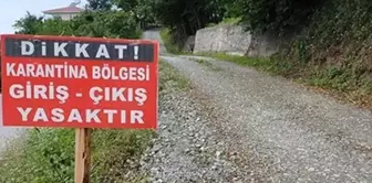 Panic over foot-and-mouth disease in Tunceli: Quarantine measures have begun in the district.