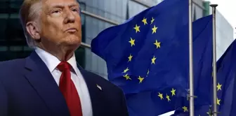 EU's response to Trump's tariffs: It harms all parties involved.