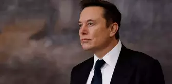 The White House described Elon Musk as a 'special government employee.'