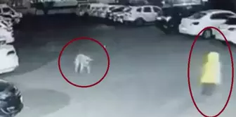 Like a horror movie! He struggled with the dog for minutes to save his life.