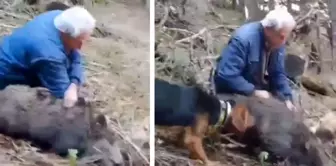 It left onlookers astonished! He caught a wild boar with his bare hands.