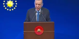 President Erdoğan explained the details of the model that allows university students to work with a salary.