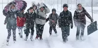 The snowfall has taken the country by storm, and schools have been closed in 8 provinces.