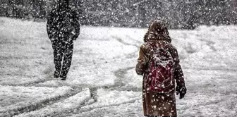 Due to heavy snowfall, education has been suspended in many provinces and districts.