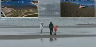 The seawater has receded in Istanbul and Izmir, and experts have made consecutive statements.